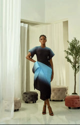 Alaere Drape Dress