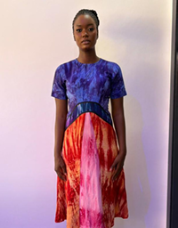 OCEAN DRESS