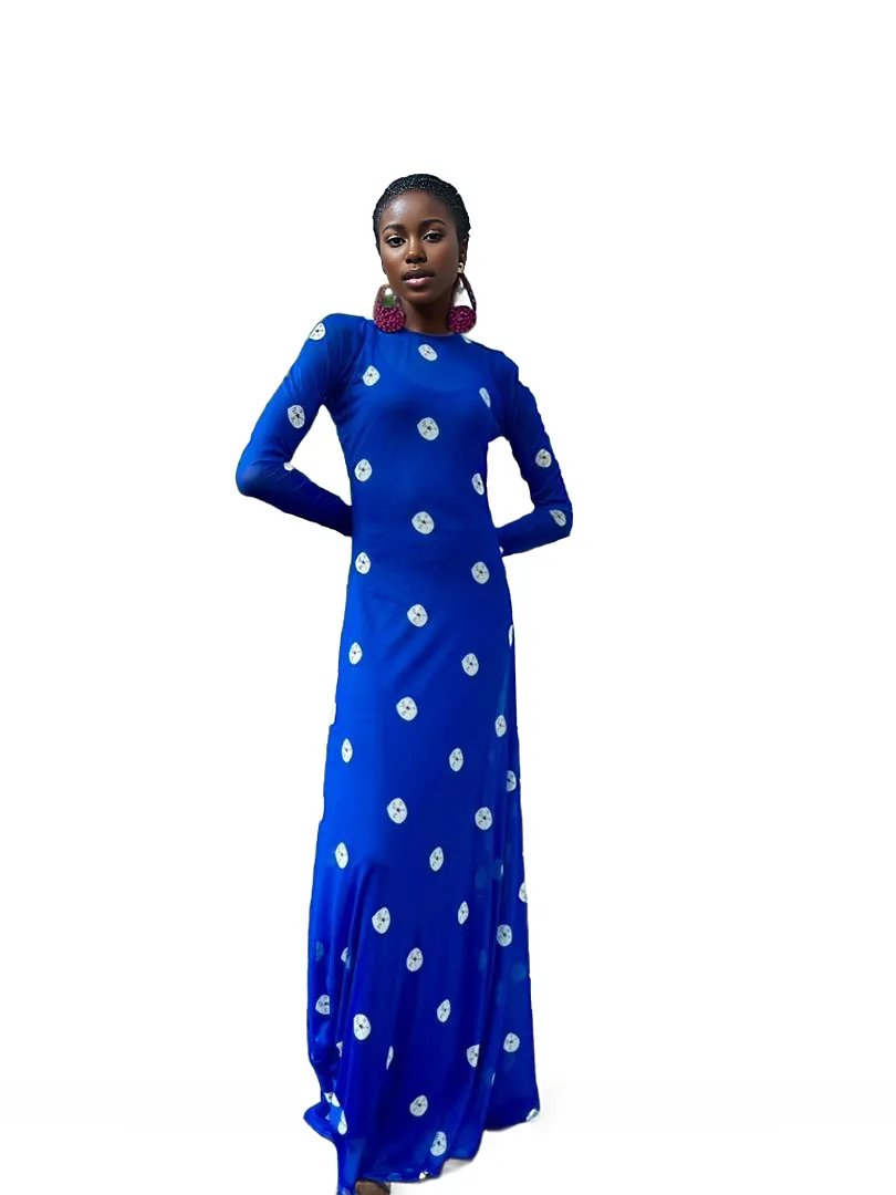 Odioma Mesh Dress