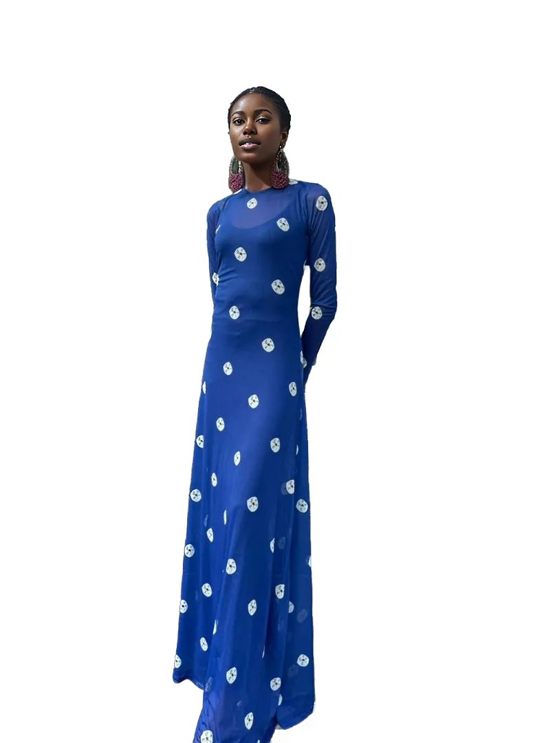 Odioma Mesh Dress